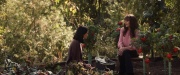 extant_StarTrek_PIC_1x07-Nepenthe_03617.jpg
