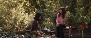 extant_StarTrek_PIC_1x07-Nepenthe_03624.jpg