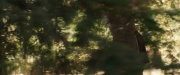 extant_StarTrek_PIC_1x07-Nepenthe_05893.jpg