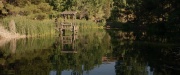 extant_StarTrek_PIC_1x07-Nepenthe_05904.jpg