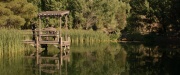 extant_StarTrek_PIC_1x07-Nepenthe_05917.jpg