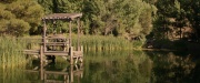 extant_StarTrek_PIC_1x07-Nepenthe_05919.jpg