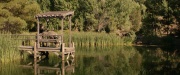 extant_StarTrek_PIC_1x07-Nepenthe_05920.jpg