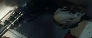 Filename=extant_StarTrek_PIC_1x08-BrokenPieces_02977.jpg
Filesize=99KiB
Dimensions=1920x800
Date added=Mar 13, 2020 extant_StarTrek_PIC_1x08-BrokenPieces_02977.jpg