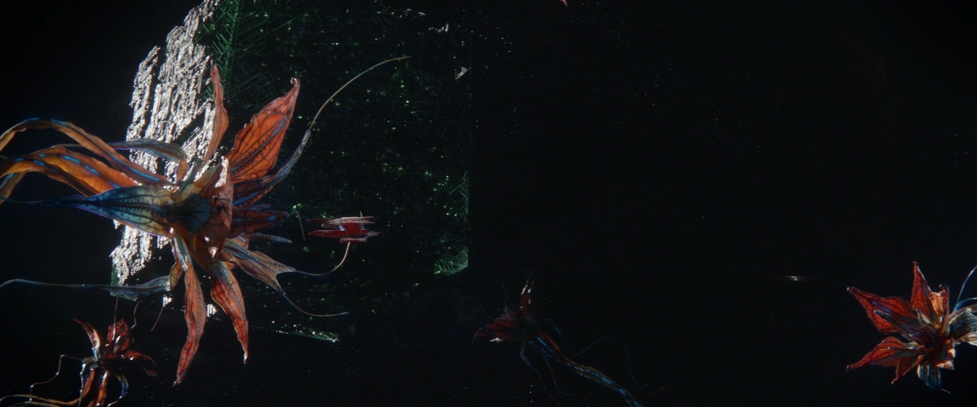 extant_StarTrek_PIC_1x09-EtInArcadiaEgoPart1_00584.jpg