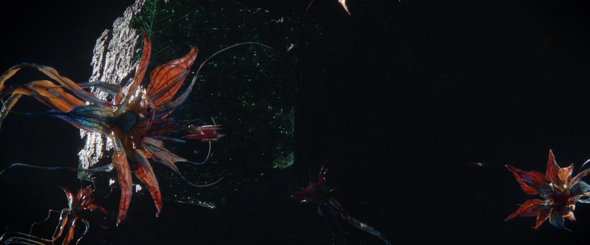 extant_StarTrek_PIC_1x09-EtInArcadiaEgoPart1_00585.jpg