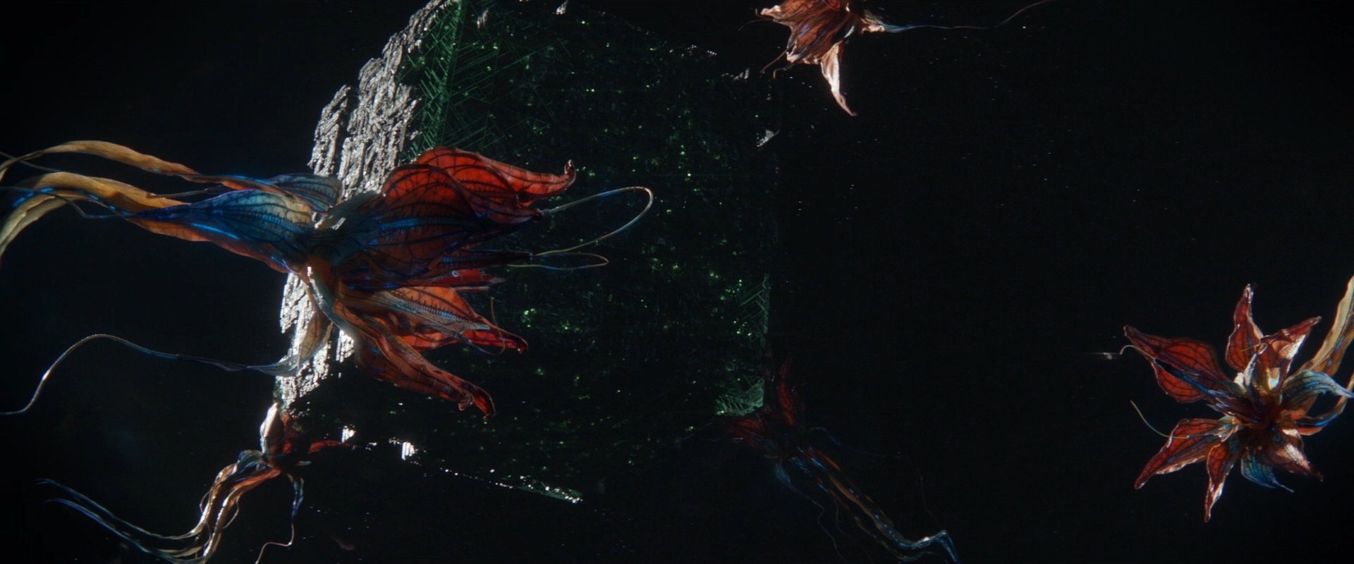 extant_StarTrek_PIC_1x09-EtInArcadiaEgoPart1_00607.jpg