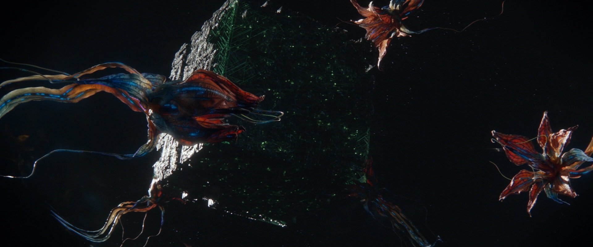 extant_StarTrek_PIC_1x09-EtInArcadiaEgoPart1_00609.jpg