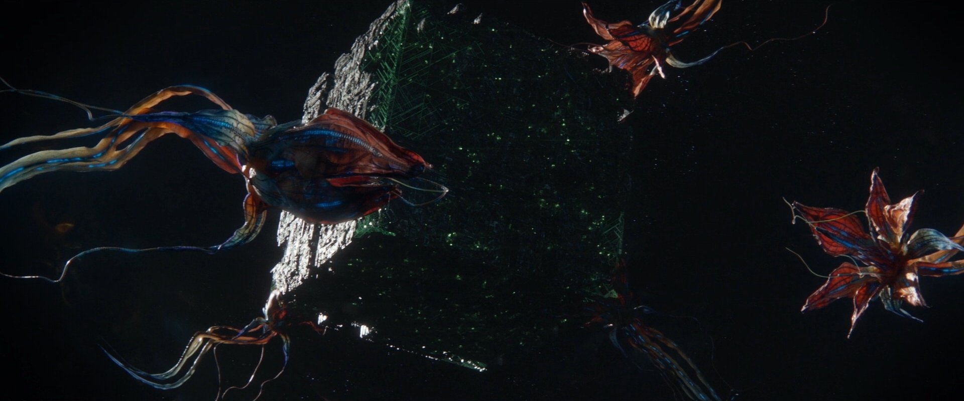 extant_StarTrek_PIC_1x09-EtInArcadiaEgoPart1_00610.jpg