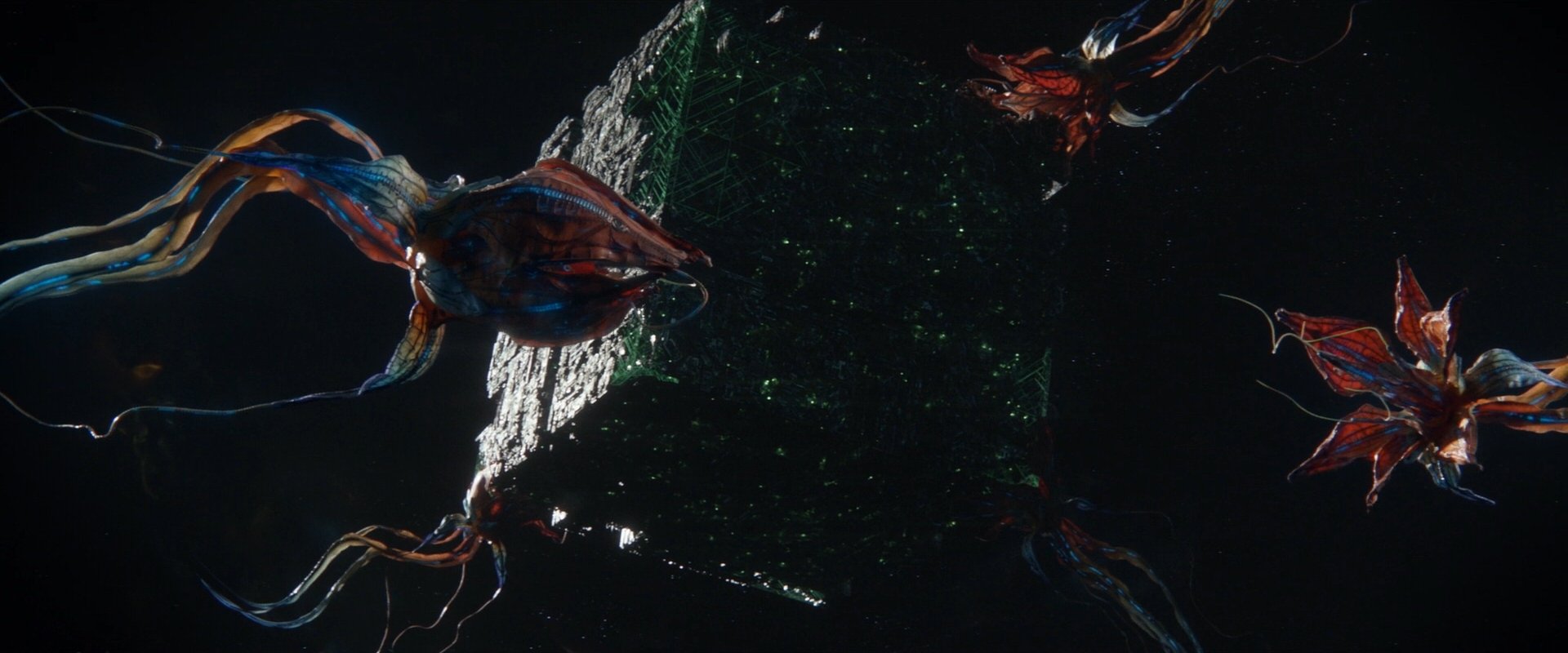 extant_StarTrek_PIC_1x09-EtInArcadiaEgoPart1_00611.jpg