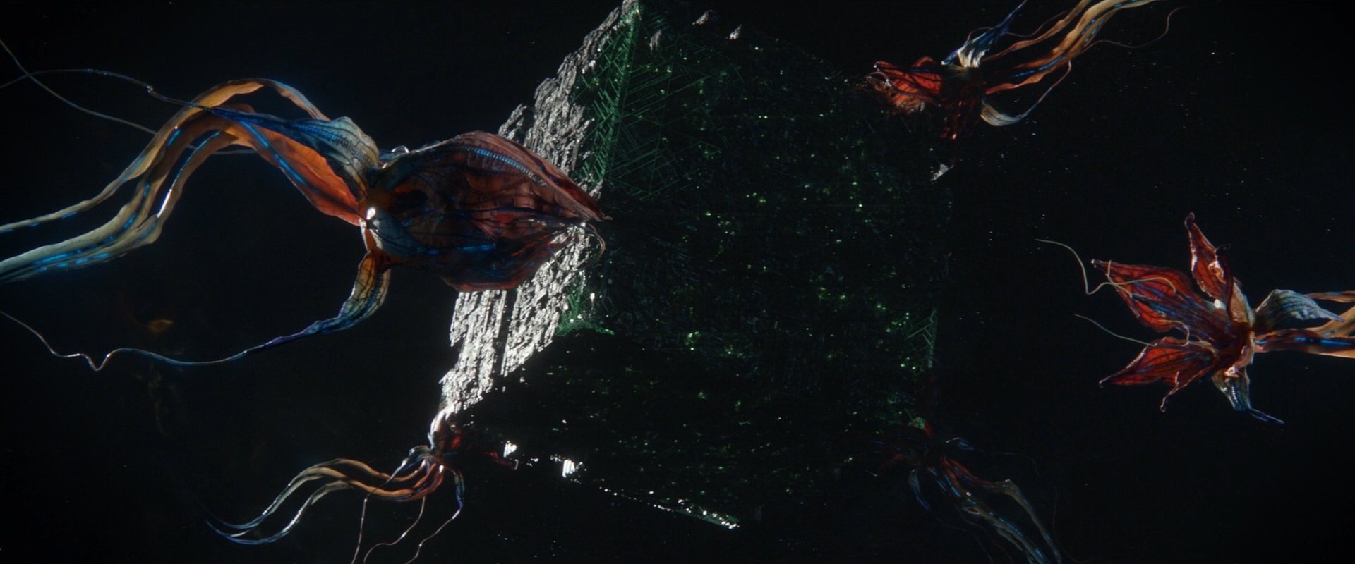 extant_StarTrek_PIC_1x09-EtInArcadiaEgoPart1_00612.jpg