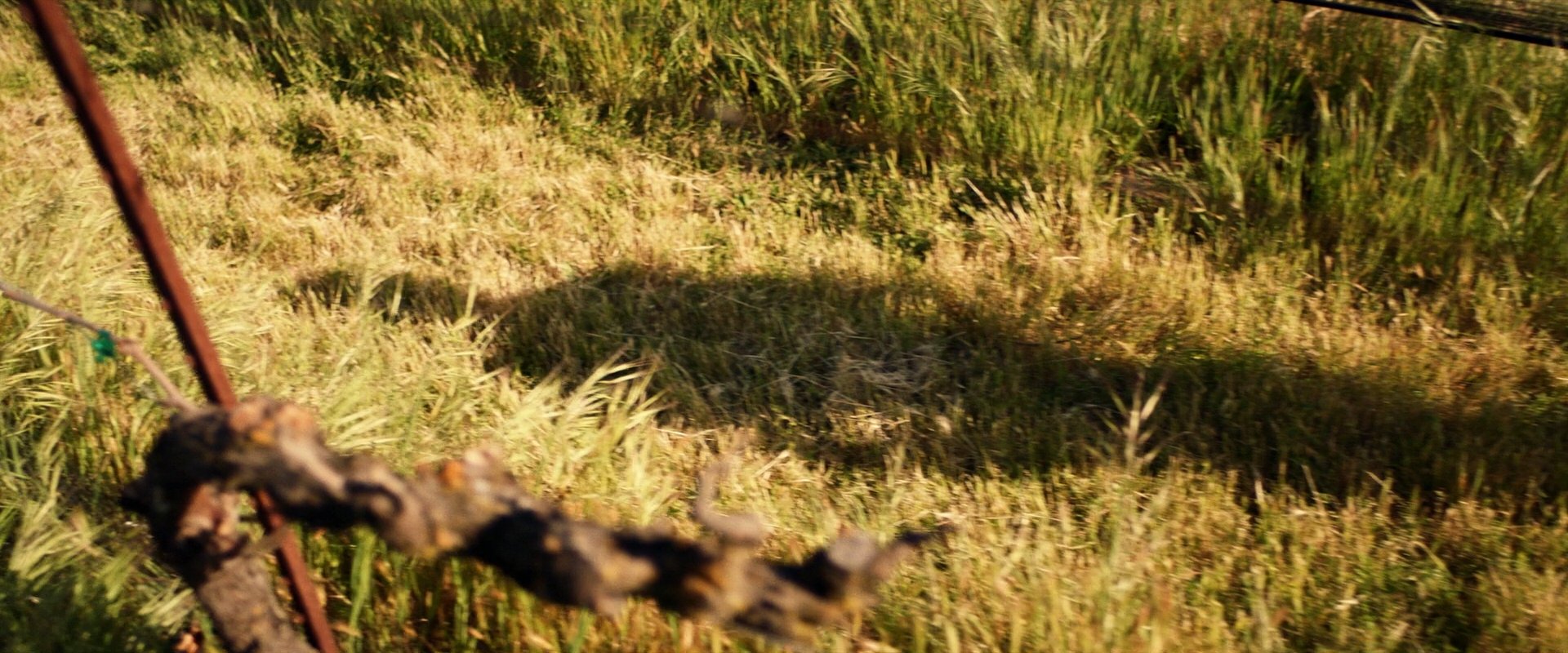 extant_StarTrek_PIC_1x09-EtInArcadiaEgoPart1_00953.jpg