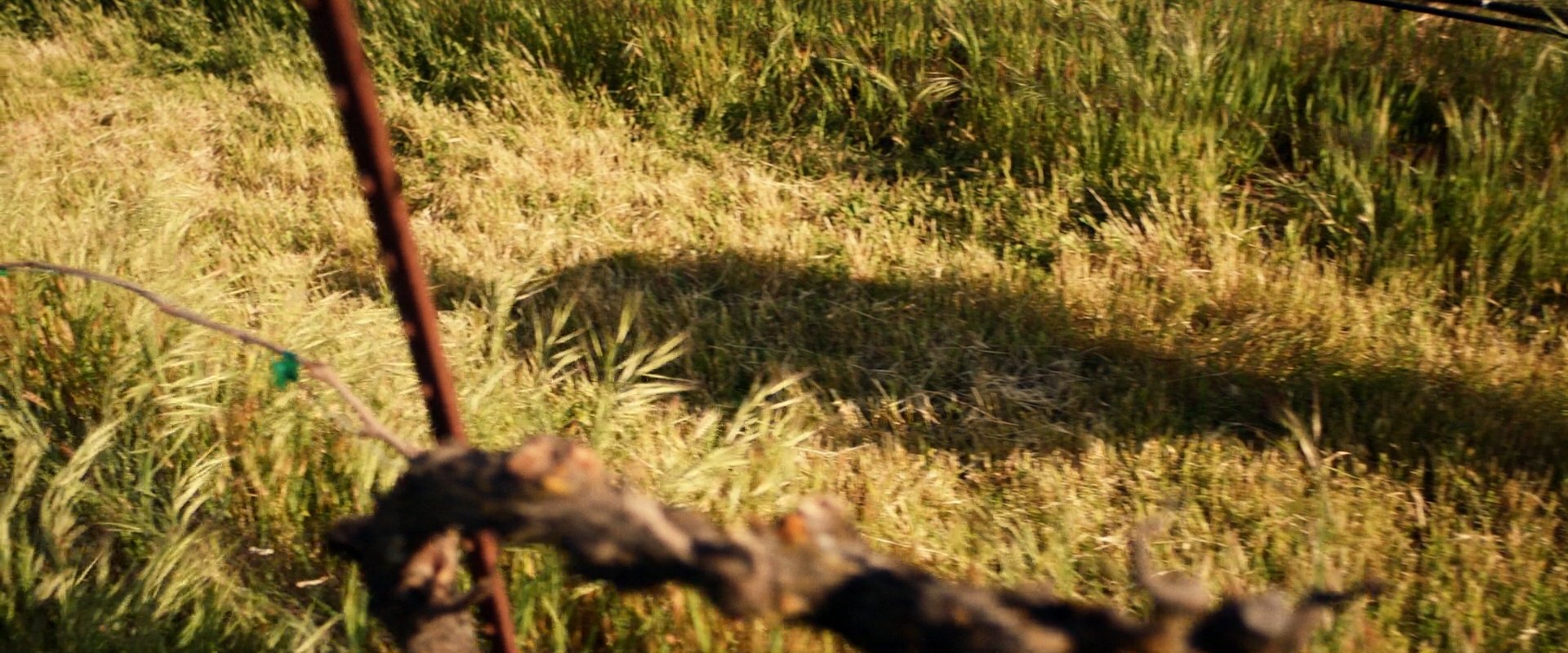extant_StarTrek_PIC_1x09-EtInArcadiaEgoPart1_00954.jpg
