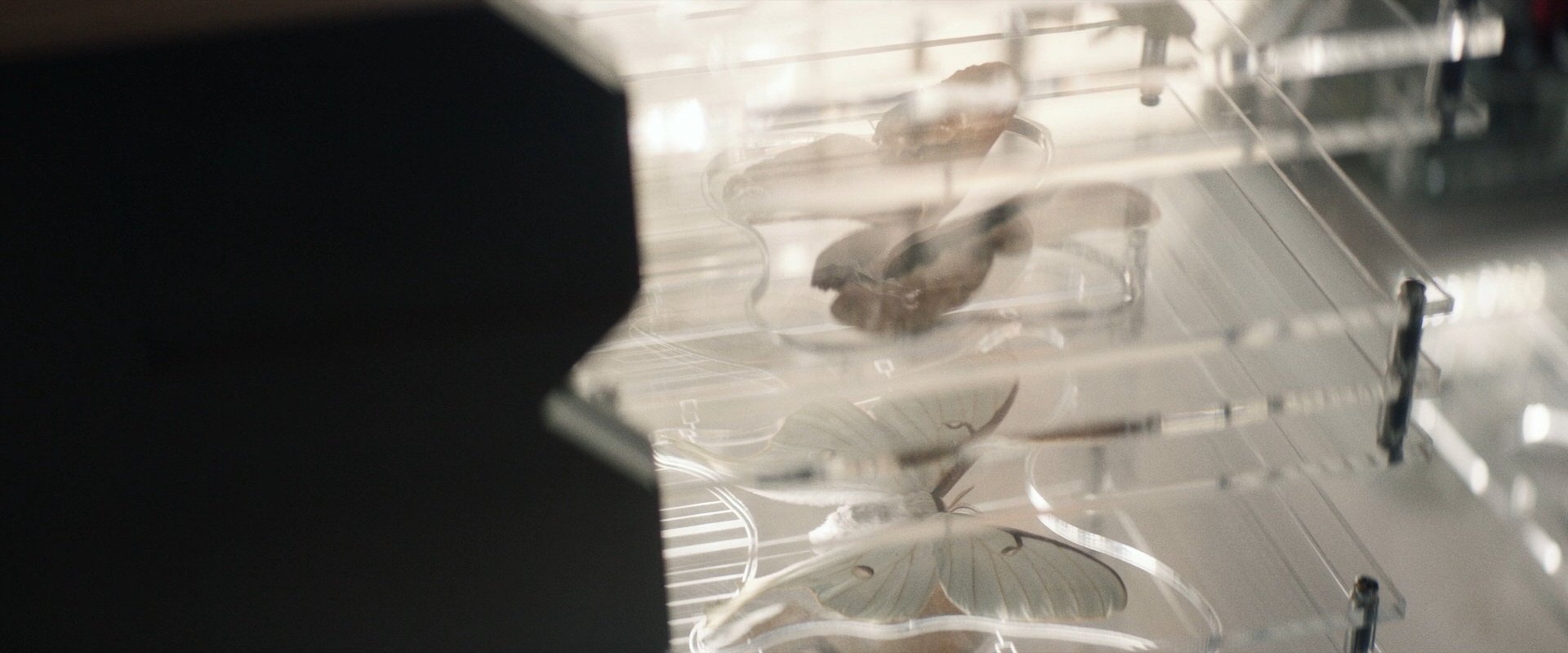 extant_StarTrek_PIC_1x09-EtInArcadiaEgoPart1_03028.jpg