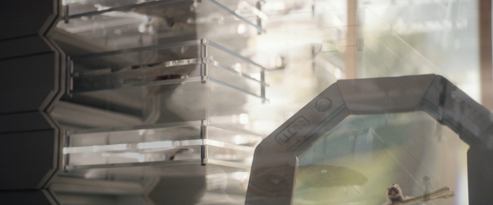extant_StarTrek_PIC_1x09-EtInArcadiaEgoPart1_03036.jpg