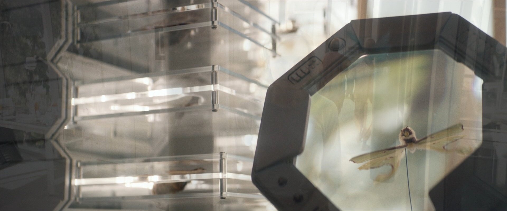 extant_StarTrek_PIC_1x09-EtInArcadiaEgoPart1_03040.jpg