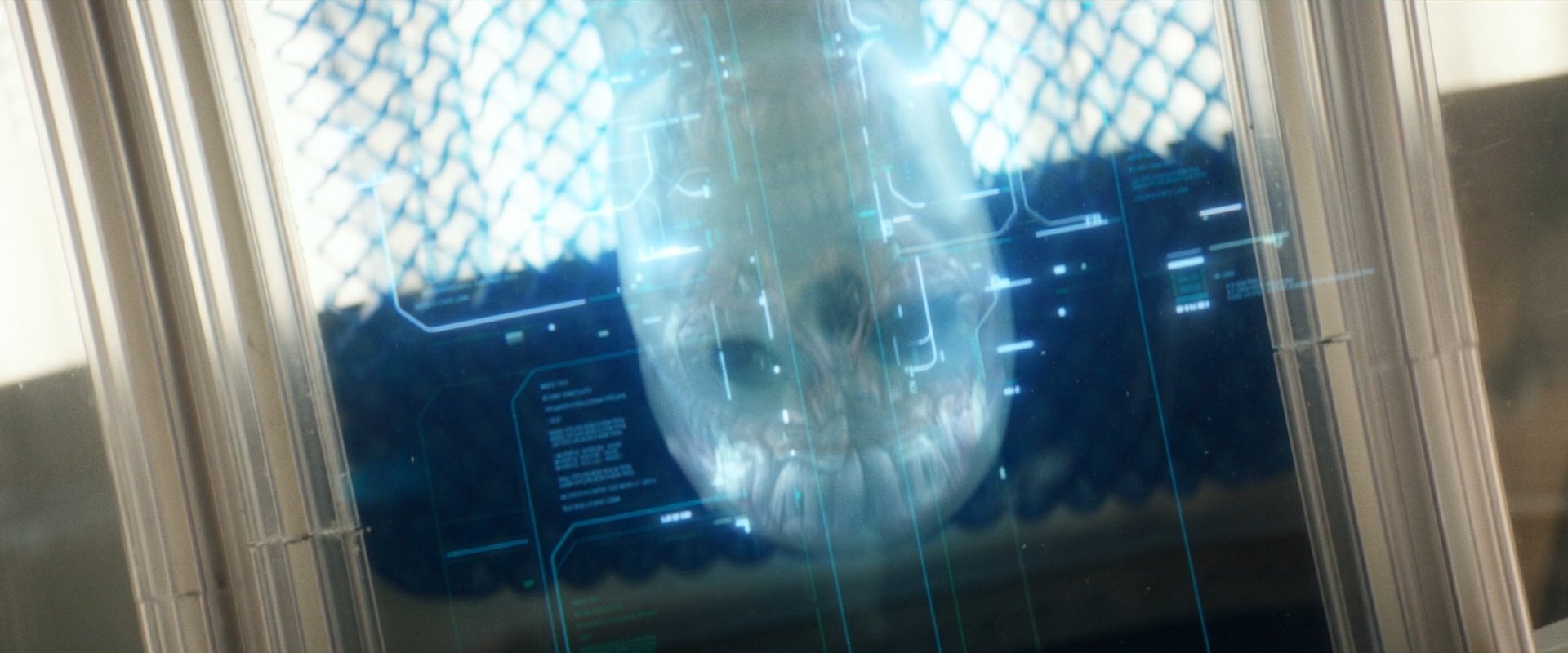 extant_StarTrek_PIC_1x09-EtInArcadiaEgoPart1_03164.jpg