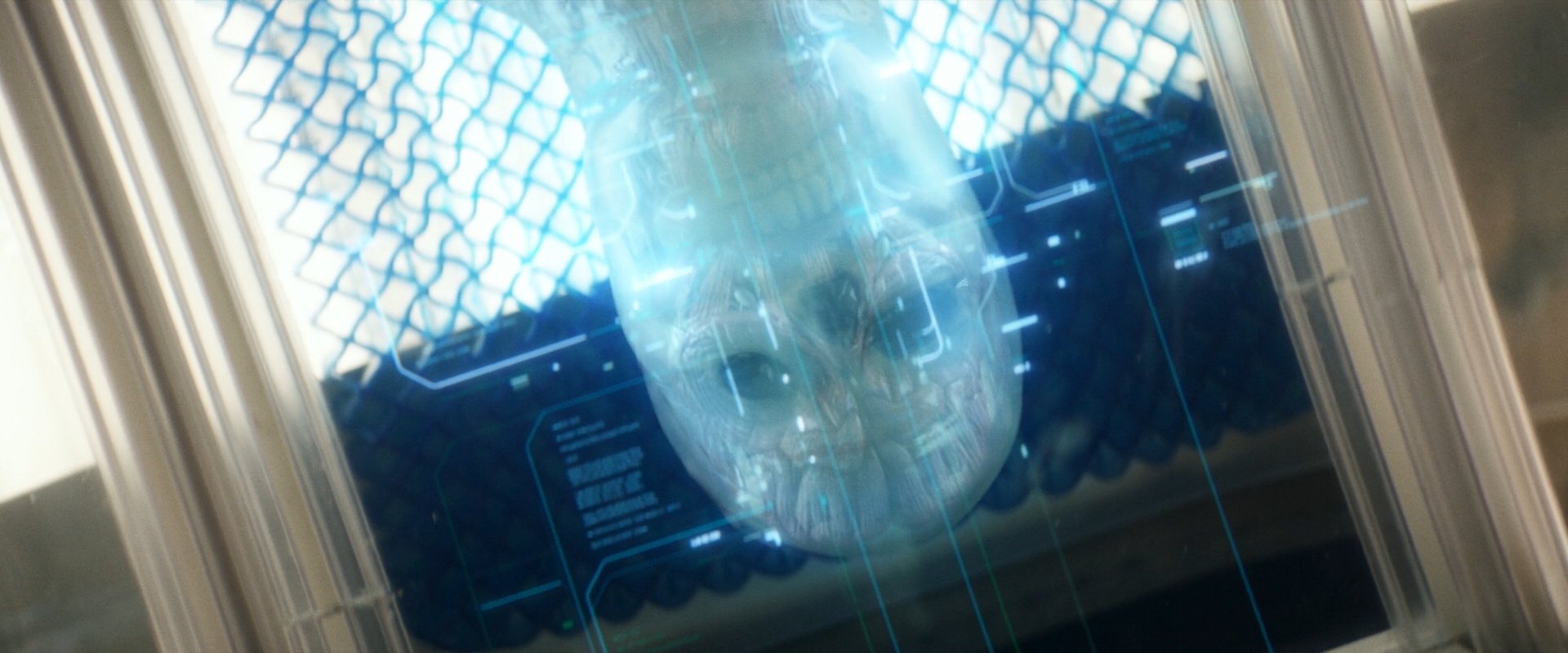 extant_StarTrek_PIC_1x09-EtInArcadiaEgoPart1_03165.jpg