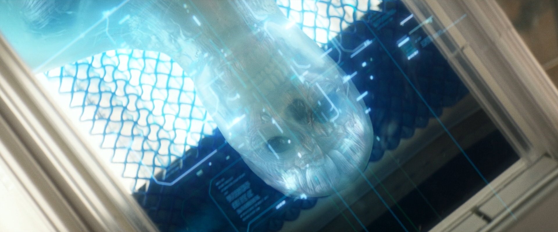 extant_StarTrek_PIC_1x09-EtInArcadiaEgoPart1_03167.jpg