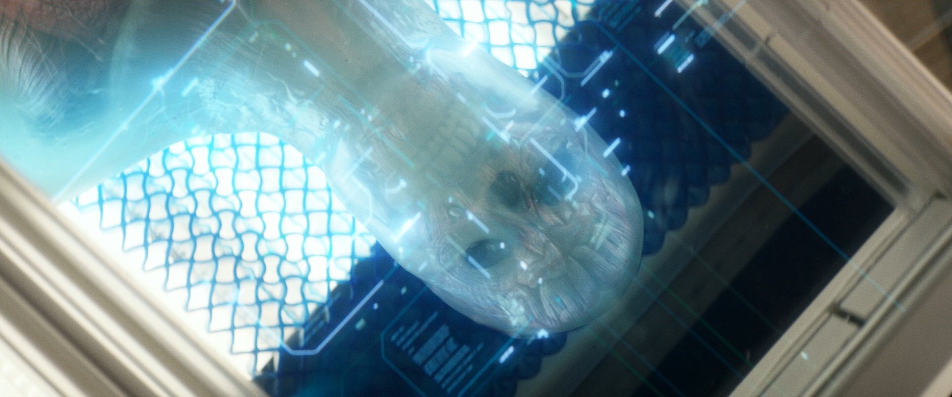 extant_StarTrek_PIC_1x09-EtInArcadiaEgoPart1_03168.jpg