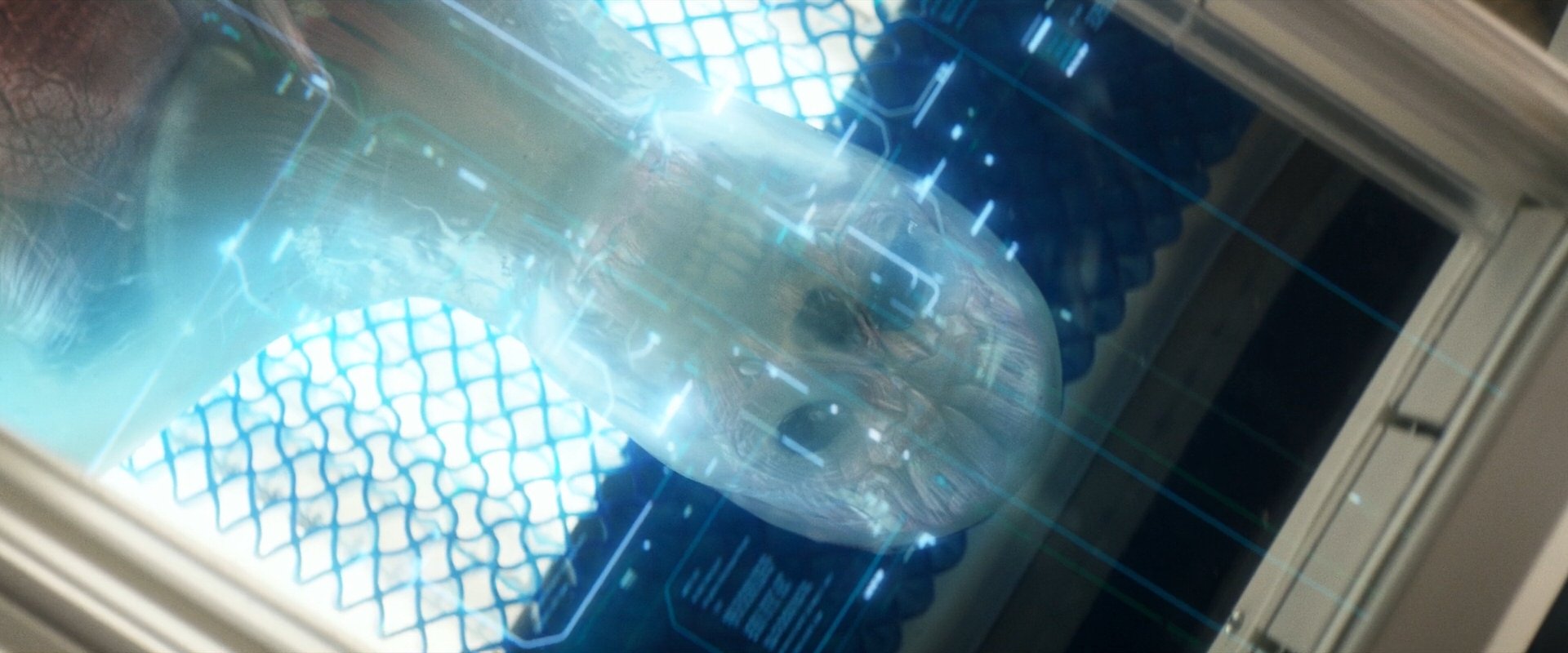 extant_StarTrek_PIC_1x09-EtInArcadiaEgoPart1_03169.jpg