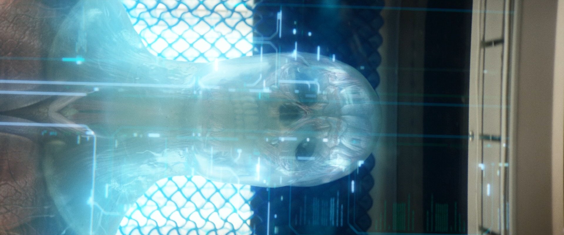 extant_StarTrek_PIC_1x09-EtInArcadiaEgoPart1_03172.jpg