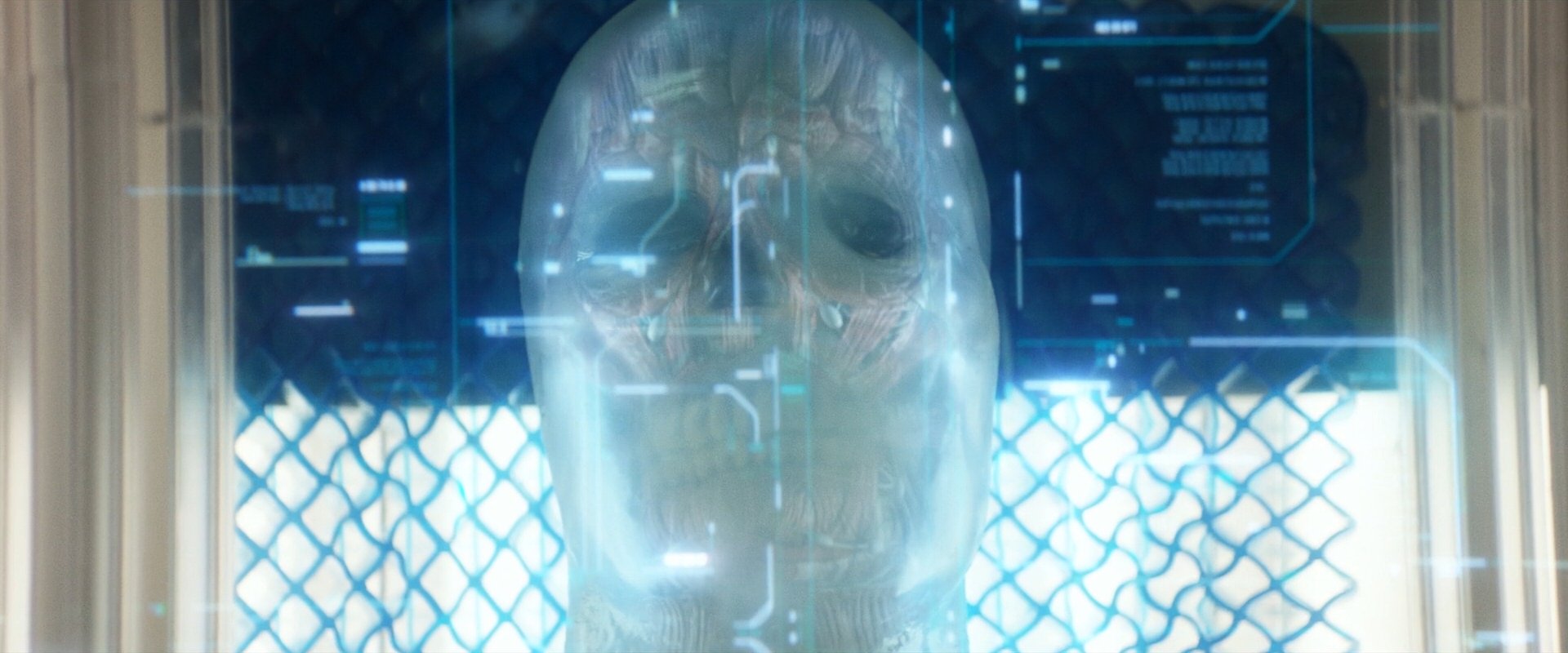 extant_StarTrek_PIC_1x09-EtInArcadiaEgoPart1_03211.jpg