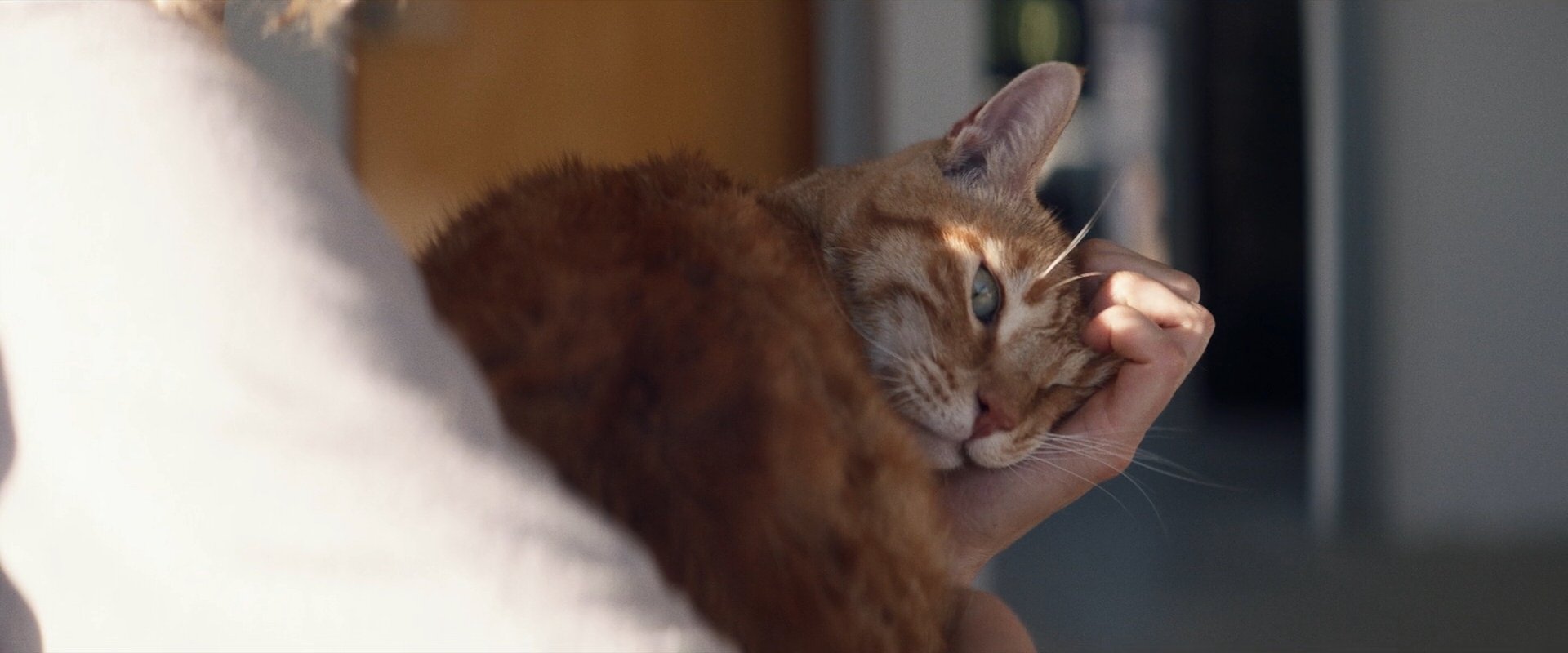 extant_StarTrek_PIC_1x09-EtInArcadiaEgoPart1_03314.jpg