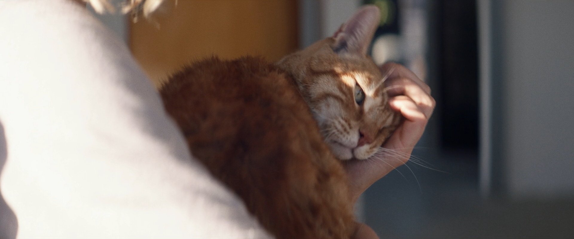 extant_StarTrek_PIC_1x09-EtInArcadiaEgoPart1_03315.jpg