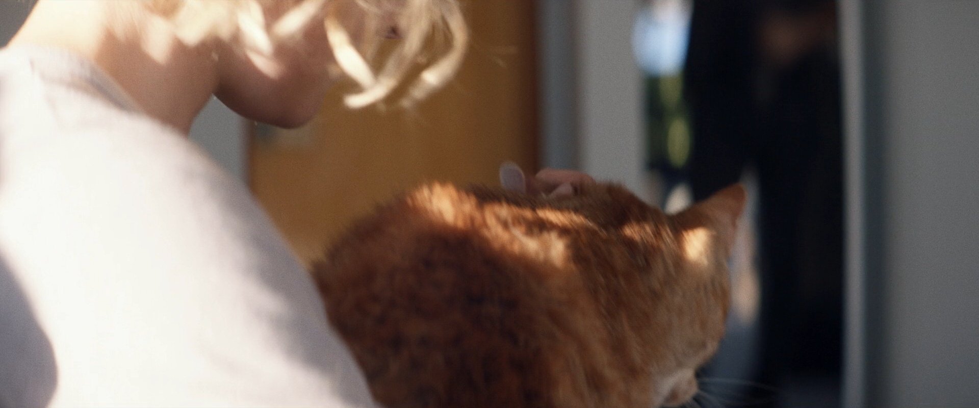 extant_StarTrek_PIC_1x09-EtInArcadiaEgoPart1_03319.jpg