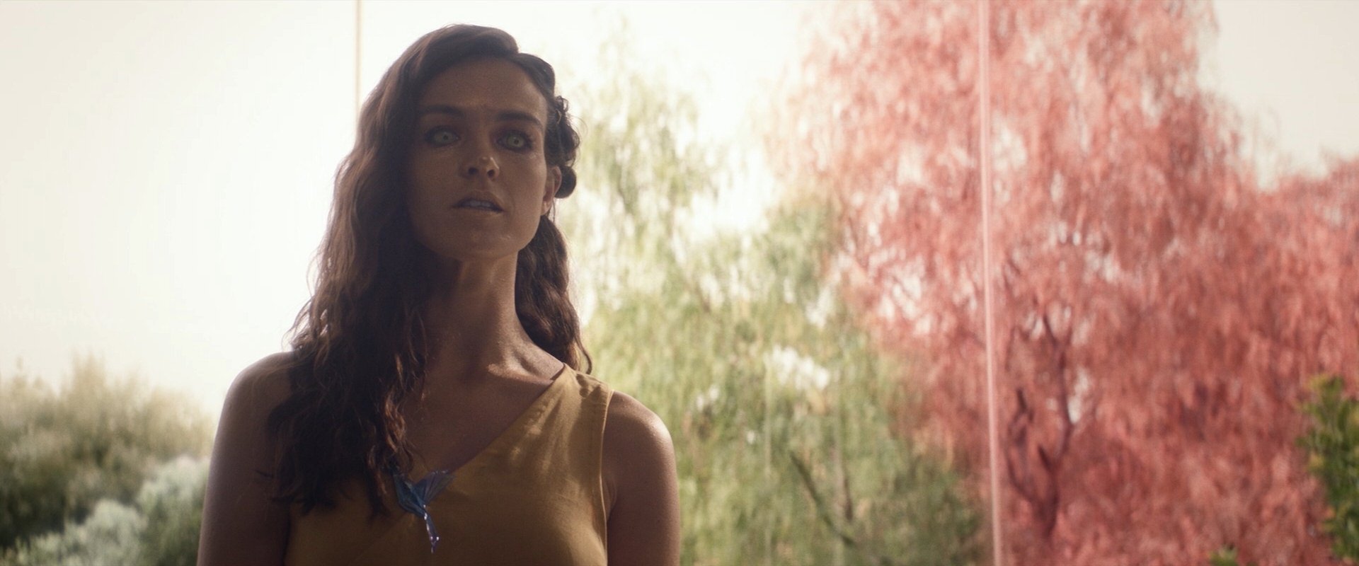 extant_StarTrek_PIC_1x09-EtInArcadiaEgoPart1_03704.jpg