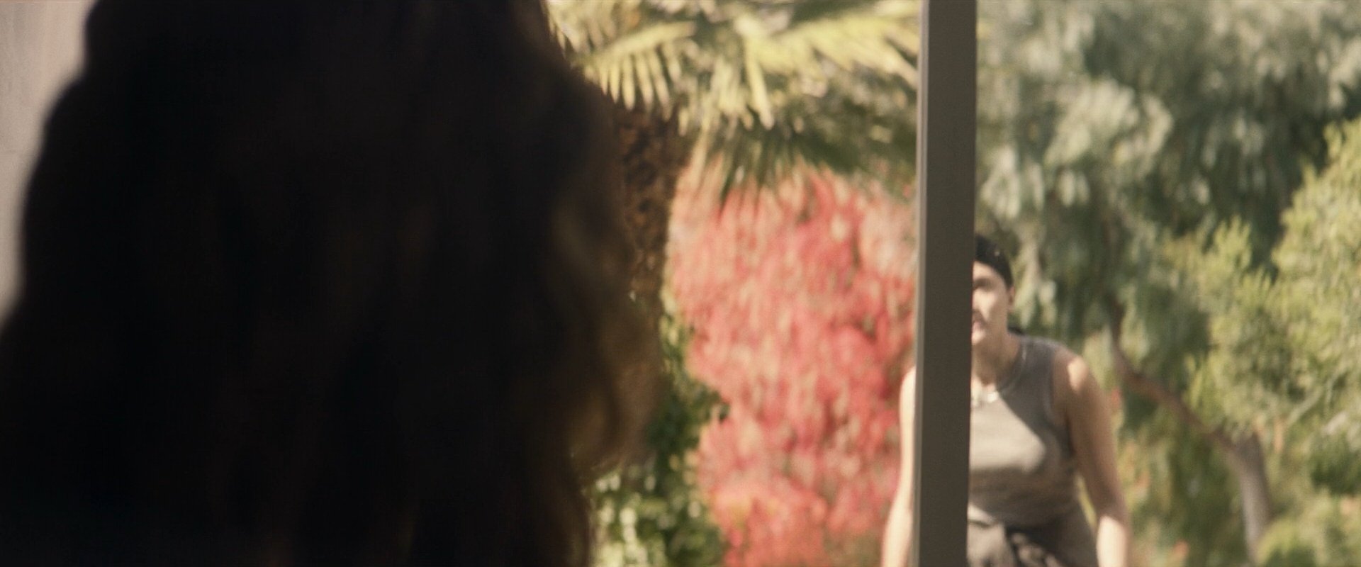 extant_StarTrek_PIC_1x09-EtInArcadiaEgoPart1_03749.jpg