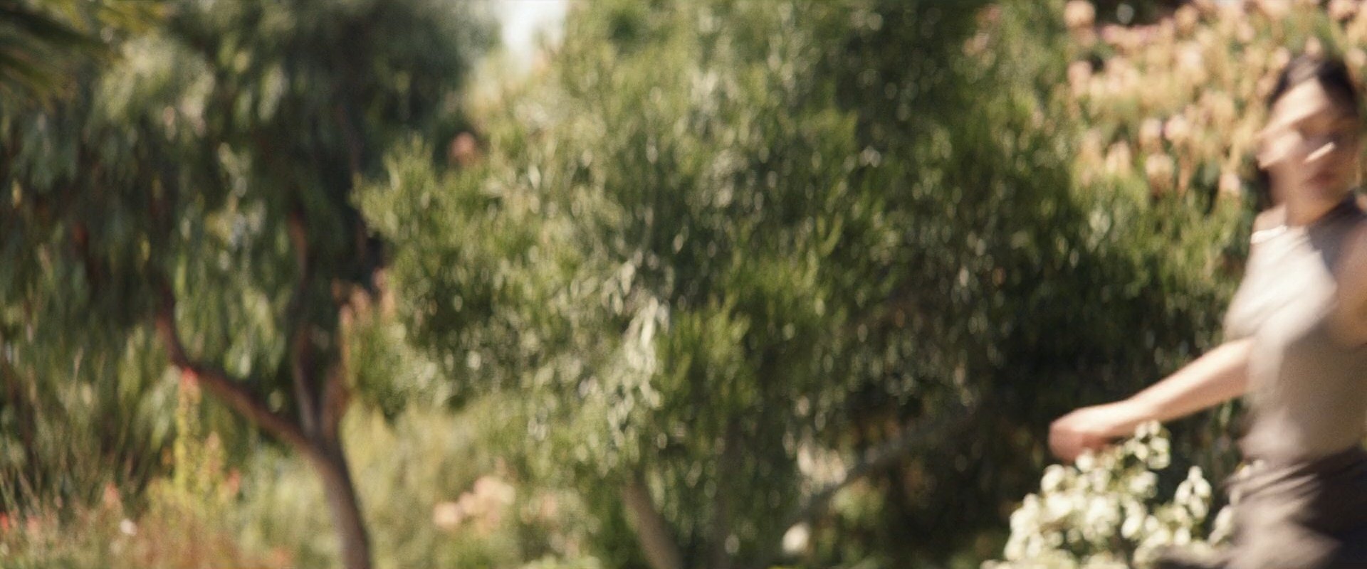 extant_StarTrek_PIC_1x09-EtInArcadiaEgoPart1_04242.jpg