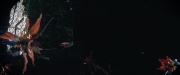 Filename=extant_StarTrek_PIC_1x09-EtInArcadiaEgoPart1_00581.jpg
Filesize=130KiB
Dimensions=1920x800
Date added=Mar 20, 2020 extant_StarTrek_PIC_1x09-EtInArcadiaEgoPart1_00581.jpg