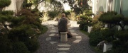 extant_StarTrek_PIC_1x09-EtInArcadiaEgoPart1_02503.jpg