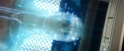 extant_StarTrek_PIC_1x09-EtInArcadiaEgoPart1_03171.jpg