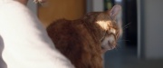 extant_StarTrek_PIC_1x09-EtInArcadiaEgoPart1_03317.jpg