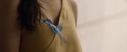 extant_StarTrek_PIC_1x09-EtInArcadiaEgoPart1_03932.jpg