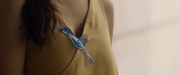extant_StarTrek_PIC_1x09-EtInArcadiaEgoPart1_03933.jpg