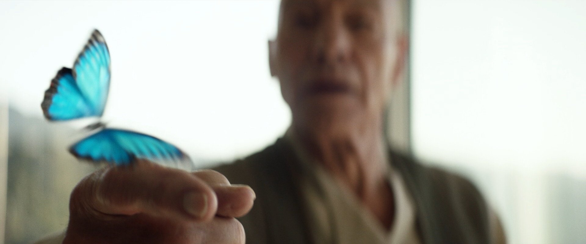 extant_StarTrek_PIC_1x10-EtInArcadiaEgoPart2_0249.jpg