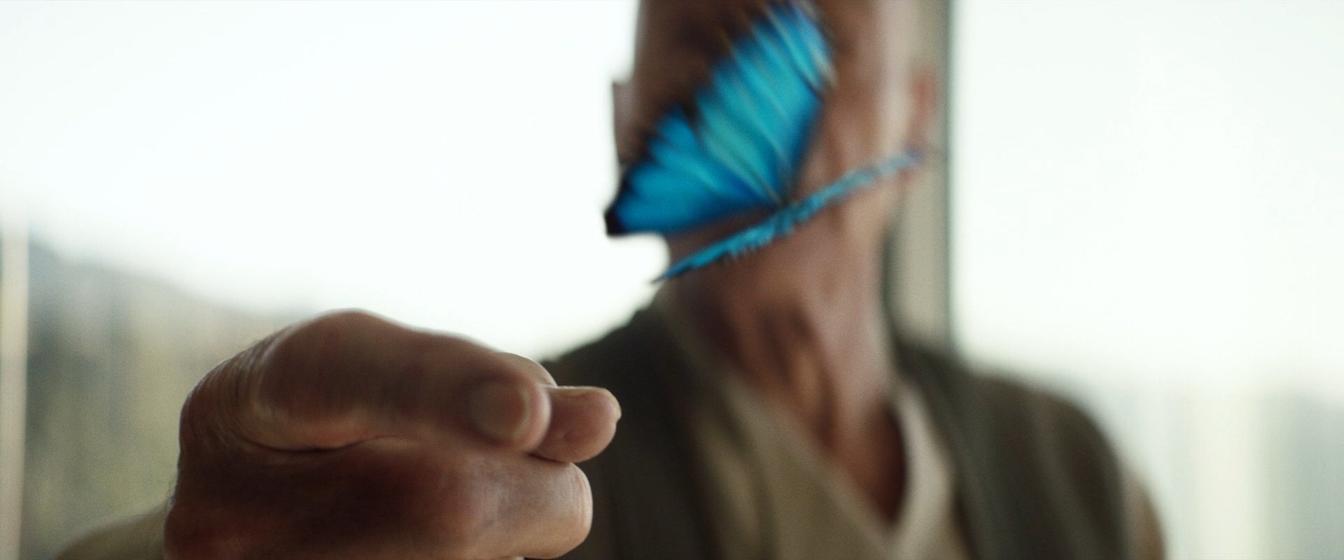extant_StarTrek_PIC_1x10-EtInArcadiaEgoPart2_0250.jpg