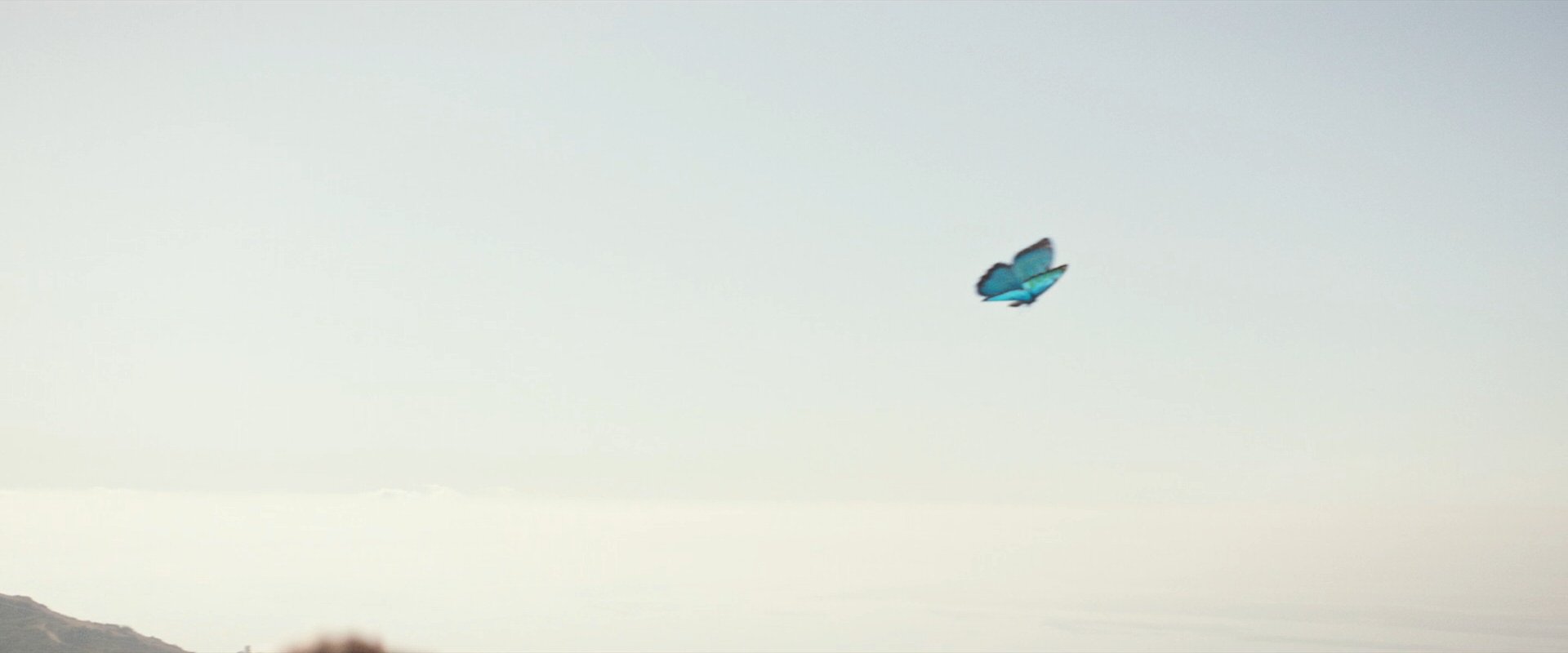 extant_StarTrek_PIC_1x10-EtInArcadiaEgoPart2_0281.jpg