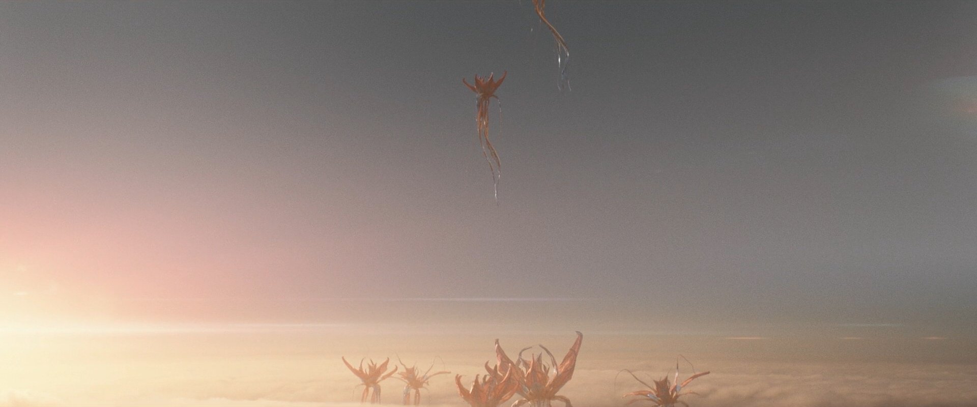extant_StarTrek_PIC_1x10-EtInArcadiaEgoPart2_2421.jpg