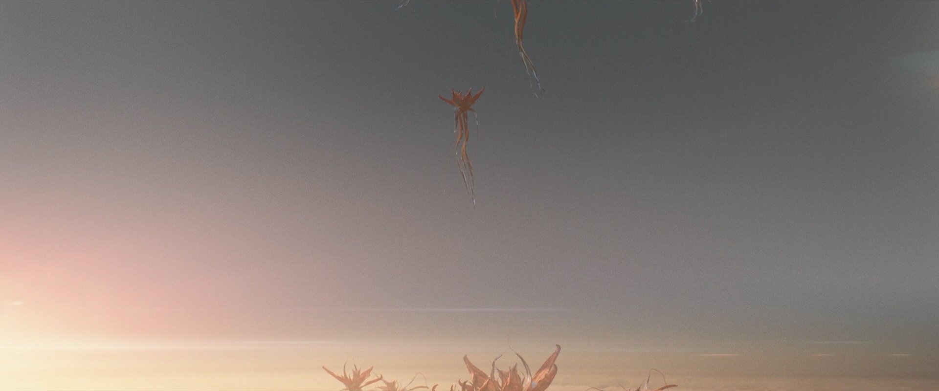 extant_StarTrek_PIC_1x10-EtInArcadiaEgoPart2_2422.jpg