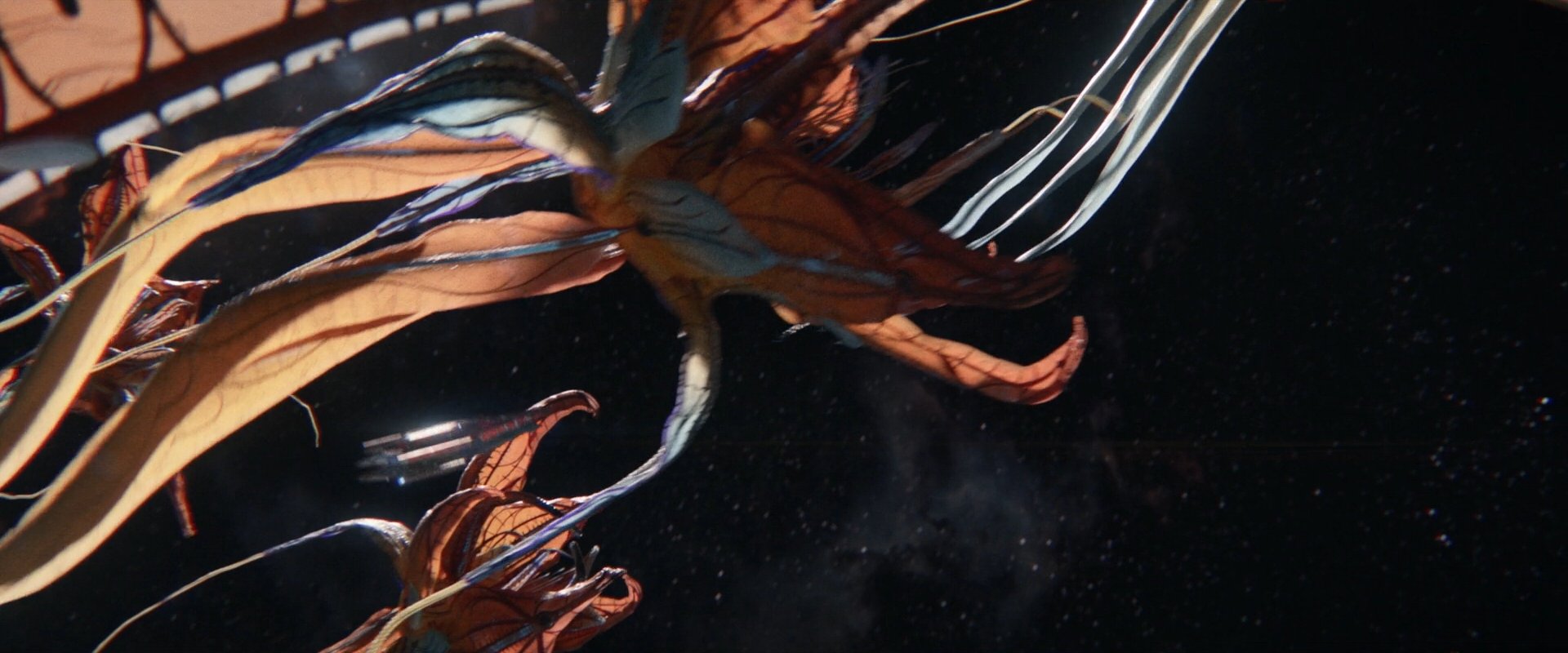 extant_StarTrek_PIC_1x10-EtInArcadiaEgoPart2_2447.jpg