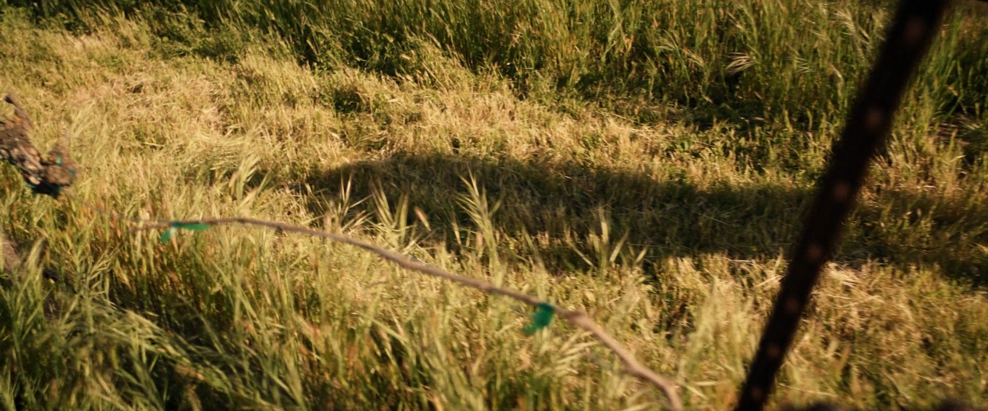 extant_StarTrek_PIC_1x10-EtInArcadiaEgoPart2_3644.jpg