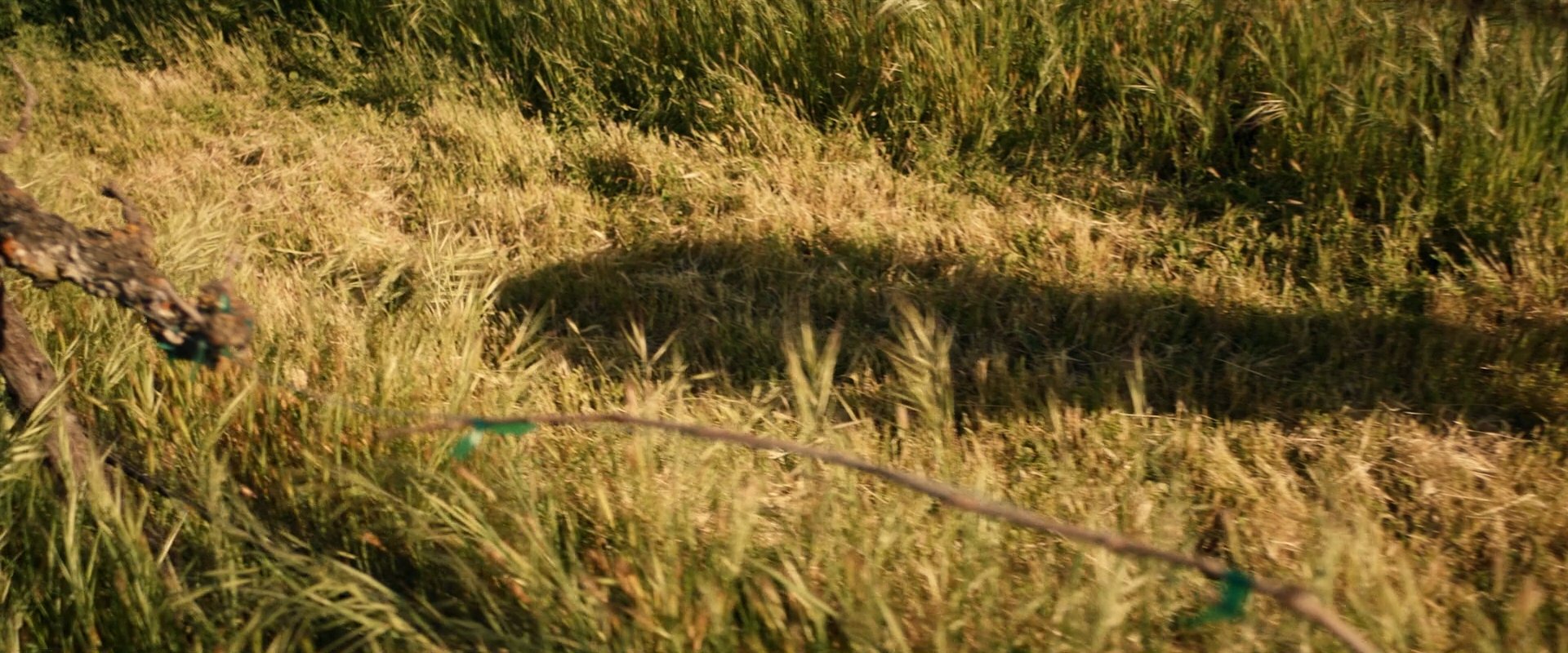 extant_StarTrek_PIC_1x10-EtInArcadiaEgoPart2_3645.jpg