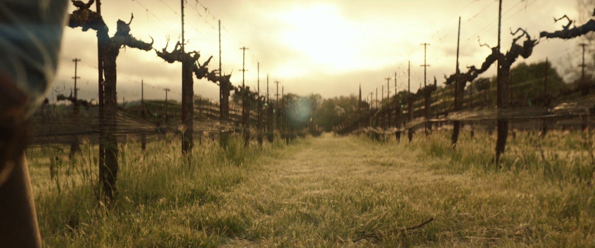 extant_StarTrek_PIC_1x10-EtInArcadiaEgoPart2_3656.jpg