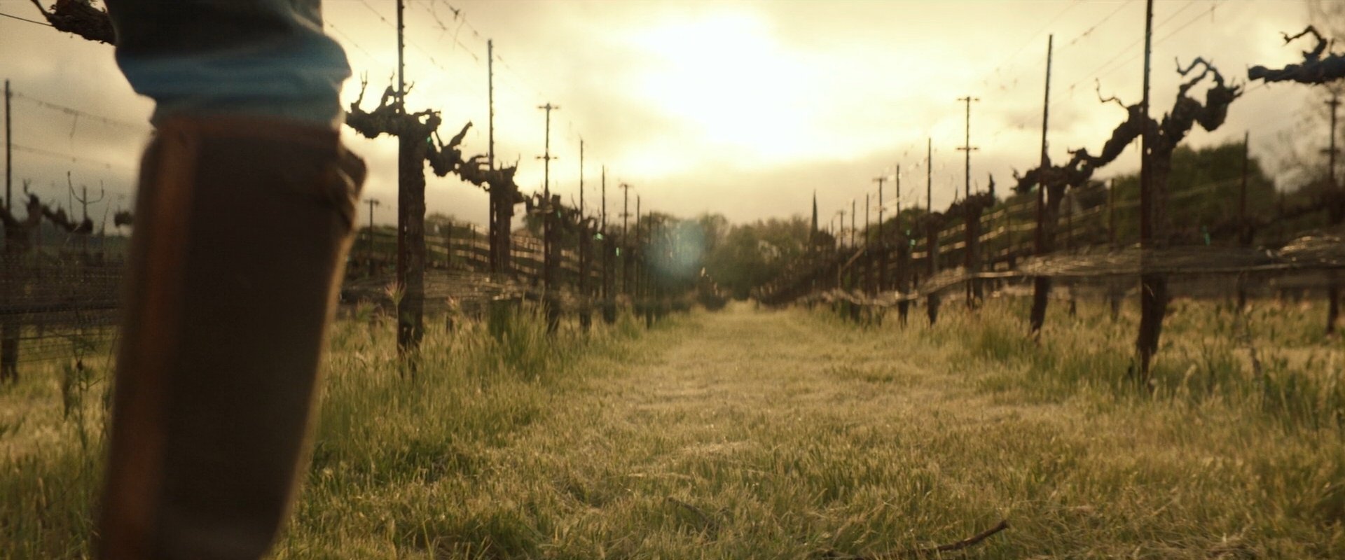 extant_StarTrek_PIC_1x10-EtInArcadiaEgoPart2_3657.jpg