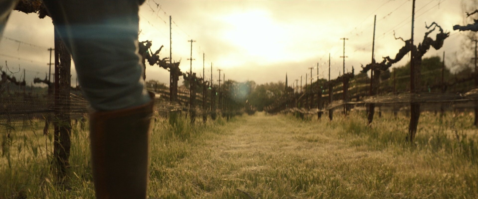 extant_StarTrek_PIC_1x10-EtInArcadiaEgoPart2_3658.jpg
